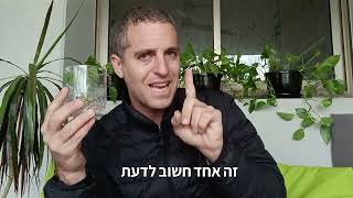 תובנות להשרשה נכונה ויעילה של ייחורים בחורף הקר