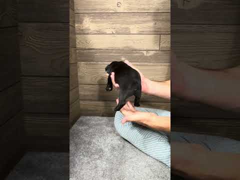 Video 1