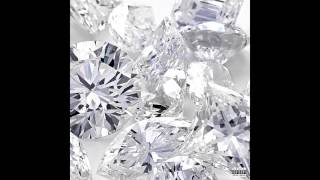 Plastic Bag - Drake & Future