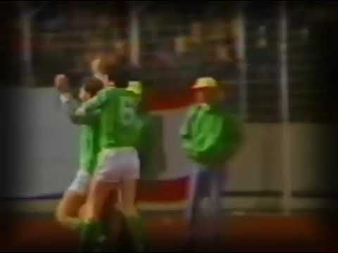 EURO-1984. Qualifiers. Group 6. West Germany - Northern Ireland. Highlights.