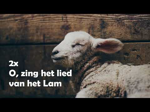 Opwekking met tekst 506 Zing het lied van het Lam (versie 1)