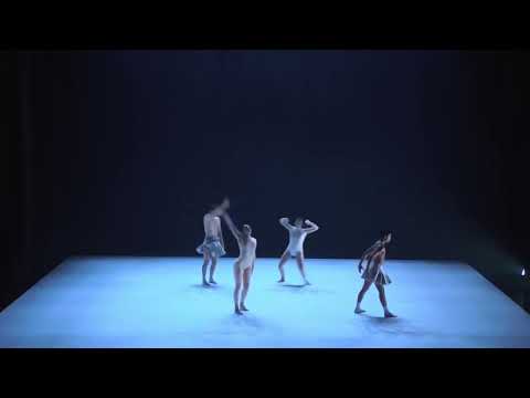 NDT 2 Audition (2026/2027) Fleur Heeres