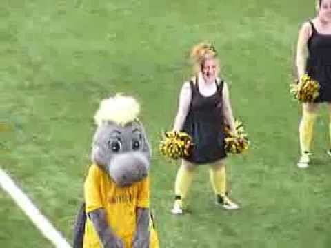 The Stonettes - Maidstone United FC