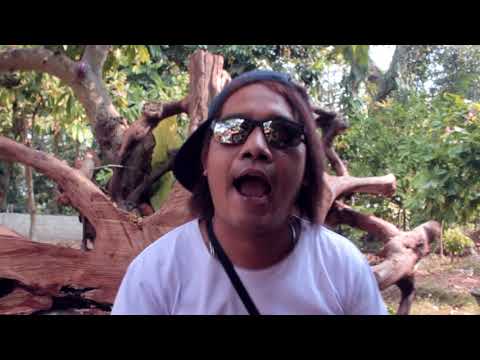 FREE WIFI _ MARIO ERLANGGA _ [OFFICIAL] [HD] #2018 #music