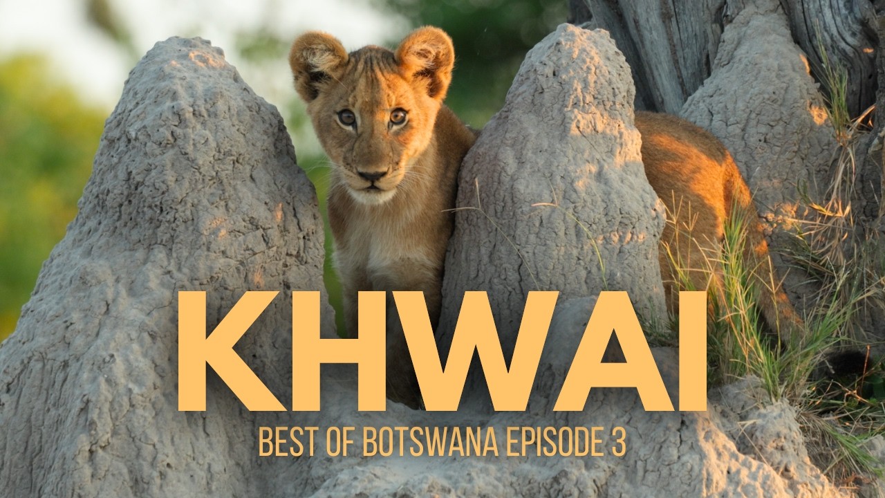 Khwai, Botswana – One of the Best Areas for a Self-Drive Safari (Best of Botswana Ep.3)