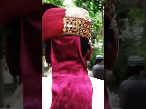 #flowers #travel #fishaquarium #mujibor#flowers #funny #trending