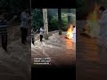 Vat Disu Dega Deva Status Viral Video Corona Viral Status Video Royal Status King
