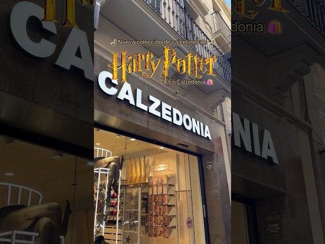 Vídeo relacionado con soxo Wizarding World Harry Potter Zapatillas Hombre Casa Invierno Regalos Originales Cómodas Pantuflas 45/46