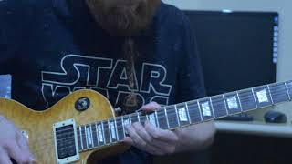 Slash - Shadow Life (guitar solo)