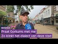 Hoe Gorkums praat jij?