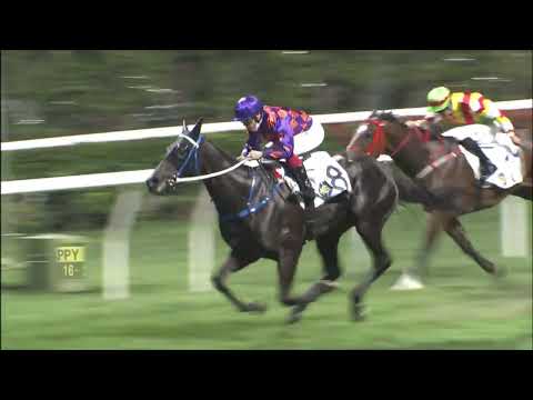 16/3/2022 (504) Kokushi Musou - A Badel