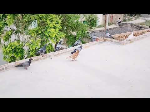 morning and nature 😊