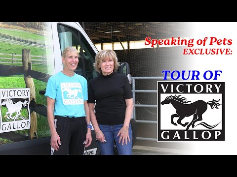 FARM TOUR with Sue Miller from Victory Gallop!