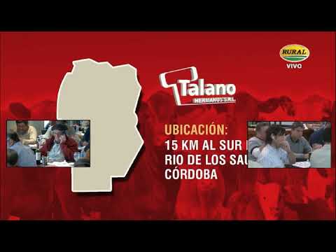14-08-23 - Remate Televisado de Talano Hnos  - Vicuña Mackenna, Córdoba