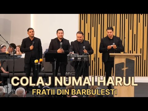 Fratii din Barbulesti - COLAJ NUMAI HARUL ( Live Session ) 