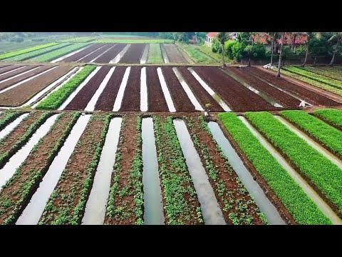 How to build a Contour Bund/Trench in Hilly Areas for Rainwater Harvesting