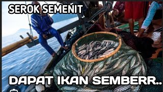 Download lagu Surganya Ikan.Ribuan ikan nila di sungai Taiwan ini bikin geleng kepala mp3 Download lagu Surganya Ikan.Ribuan ikan nila di sungai Taiwan ini bikin geleng kepala mp3