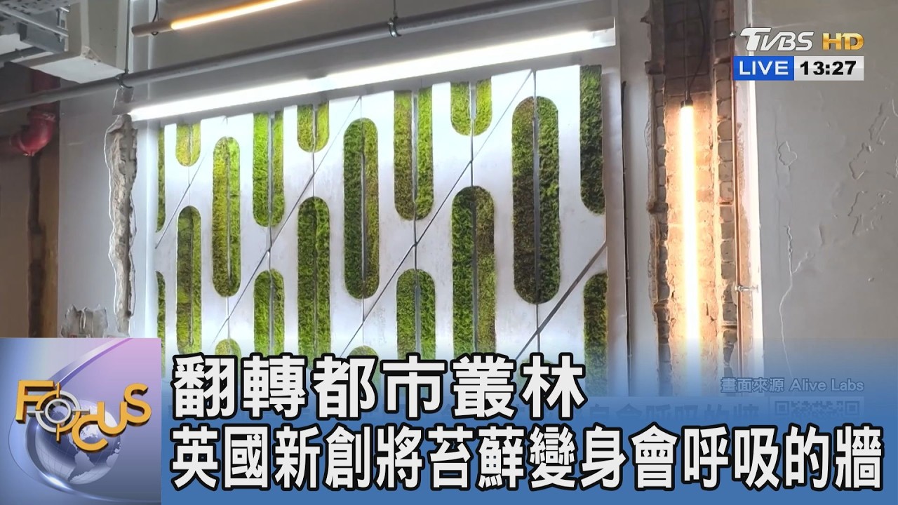 翻轉都市叢林 英國新創將苔蘚變身會呼吸的牆