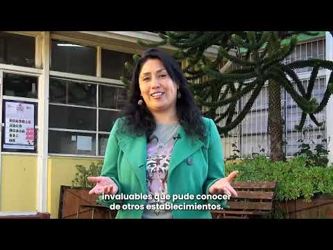 Cómo un modelo pedagógico innovador está transformando la educación en La Araucanía