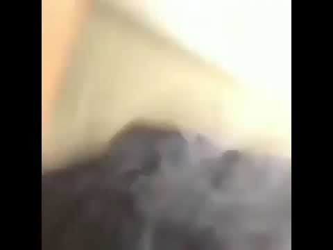 Wally MH gets whooped by Zah 🅱️😱🎩