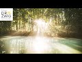 #1: Your Problems Are Your Personal Growth Trying to Happen I The Dr. Zwig Show