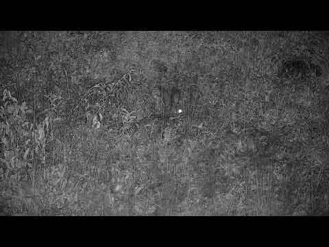 Djuma: Scrub Hare - 00:58 - 12/20/20