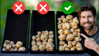 Probé el germinado de mis patatas (esto es lo que aprendí)