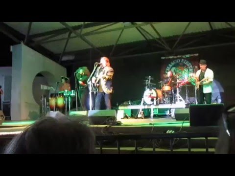 Bertie Higgins - "Jamaica Me Crazy"