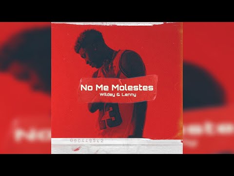 Wildey x Lenny - No Me Molestes