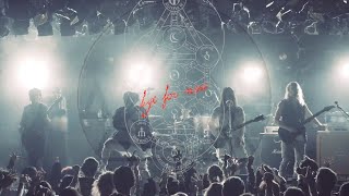 Cover art for Under The Split Tree