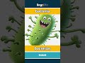 bacteria - bacterias video thumbnail