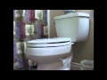 Toilet Flush Sound Effect