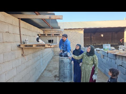 The master builder and his love for his pigeons and caring grandmother.