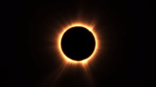 GentlePanda6969 good luck next time cheater