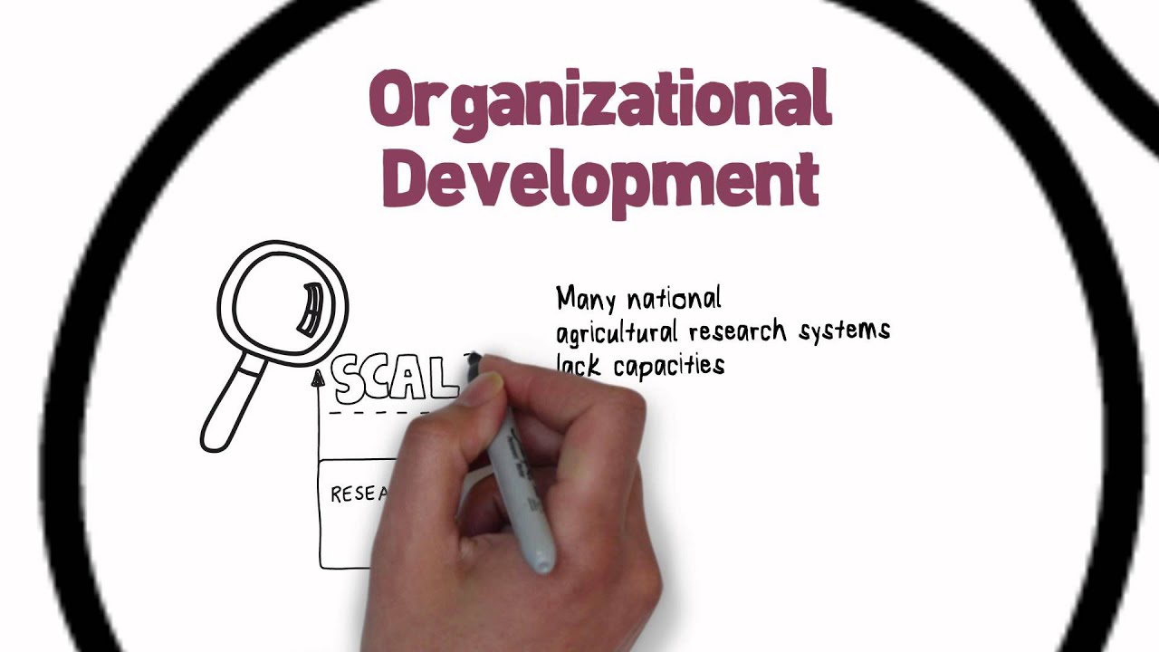 Capacity Development in the CGIAR's Livestock and Fish program