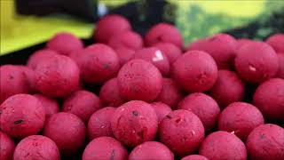 Mivardi Boilies Rapid Easy Catch Anglická Jahoda 950 g - 16 mm