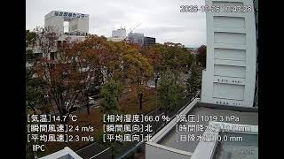 仙台測器社 のライブ配信 卸商センター前交差点付近 live webcam