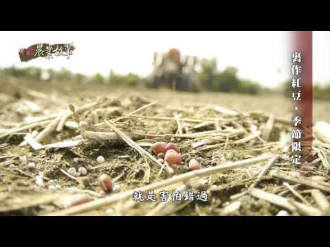 高雄農業故事館 - 紅豆 國語