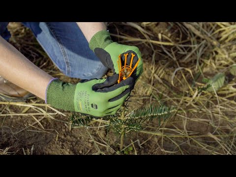 Tutorial Fegeschutz Plastikclips neu