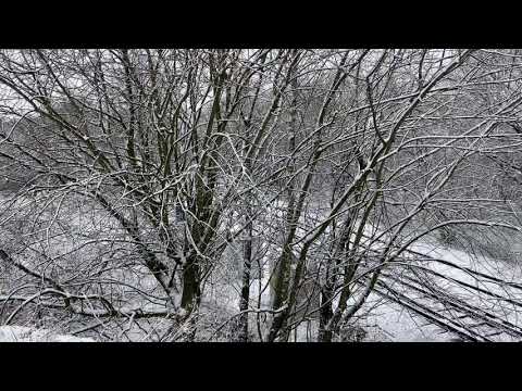 66079 passing Chapel-en-le-Frith in the snow