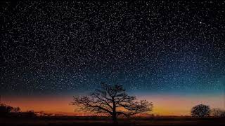 Jimmy Gnecco-Rest Your Soul