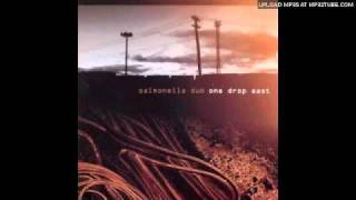 Salmonella Dub - Bubble