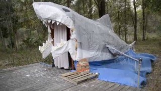 Billy Riley the Shark