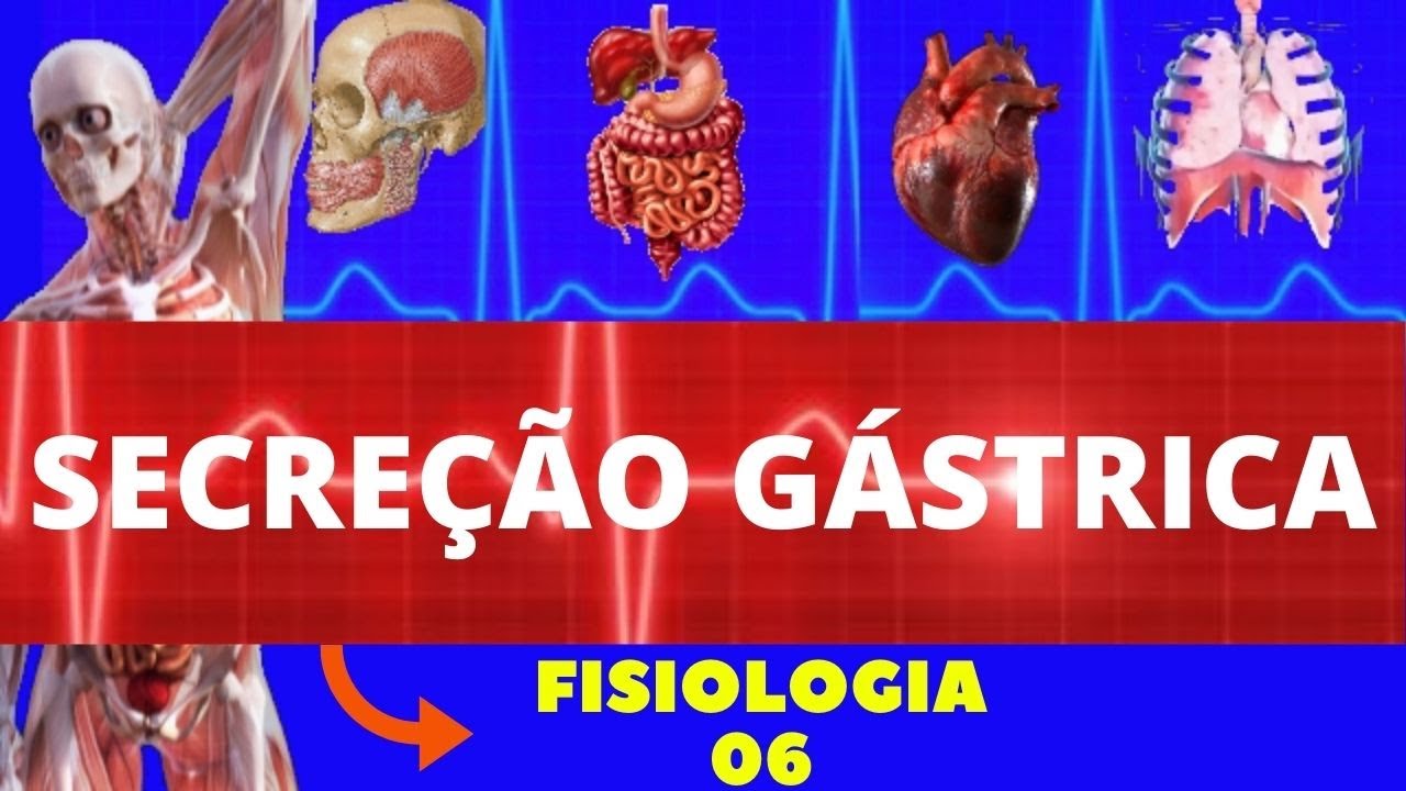 SECREÇÃO GÁSTRICA (FISIOLOGIA DA SECREÇÃO GASTROINTESTINAL) - FISIOLOGIA HUMANA (FISIOLOGIA GUYTON)