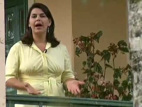 As histórias e os costumes de Ouro Fino MG