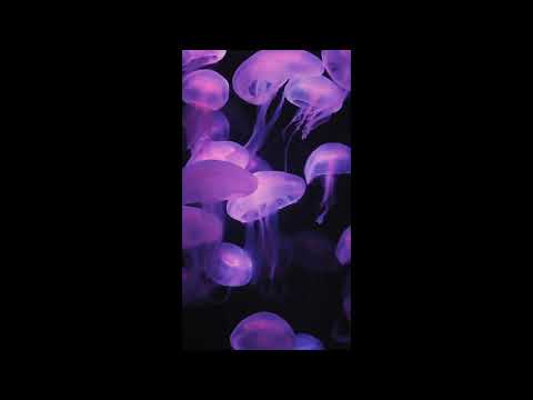 [FREE] "My turn" Pyrex Whippa type beat 2021