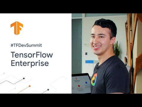 TensorFlow Enterprise (TF Dev Summit '20) (TensorFlow Enterprise (TF Dev Summit '20))