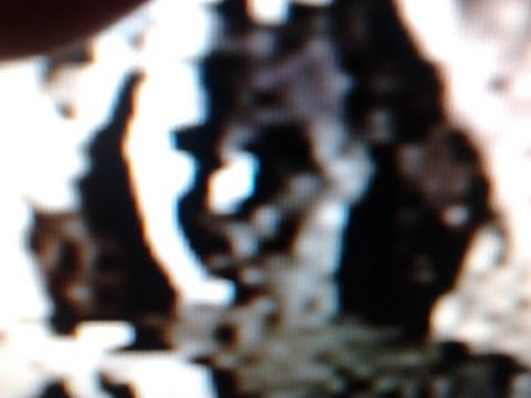 VISIBLE LIGHT FREQUENCY : SHERI MOON ZOMBIE