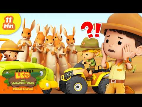 CAN KYLE RETRIEVE HIS FAV TOY FROM THE WILD KANGAROOS? | Leo the Wildlife Ranger | Animal Cartoons - Kingdom Kids Zone, Shows - Leo the Wildlife Ranger - Official Channel
