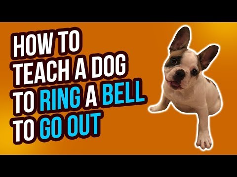 HOW TO TEACH A DOG TO RING A BELL TO GO OUTSIDE